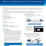 E White Paper Woori FIS rev 1 thumb