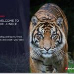 eb welcome to the jungle safeguarding data thumb
