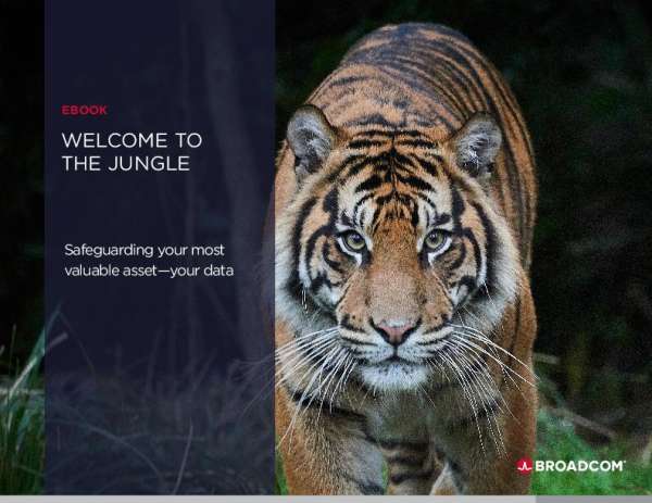 eb welcome to the jungle safeguarding data thumb